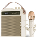 VoxAmp Duo | Wireless Speaker with Dual Microphones