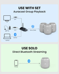 Harmony A0 | Auracast Wireless Multi-Speaker System