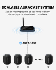 Harmony Lite 1 | Auracast Wireless Multi-Speaker System