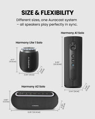 Harmony Lite 1 | Auracast Wireless Multi-Speaker System