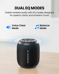 Harmony Lite 1 | Auracast Wireless Multi-Speaker System