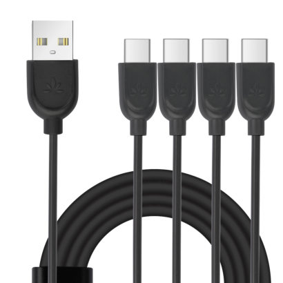 Multi charging cable for Quartet (Type C)