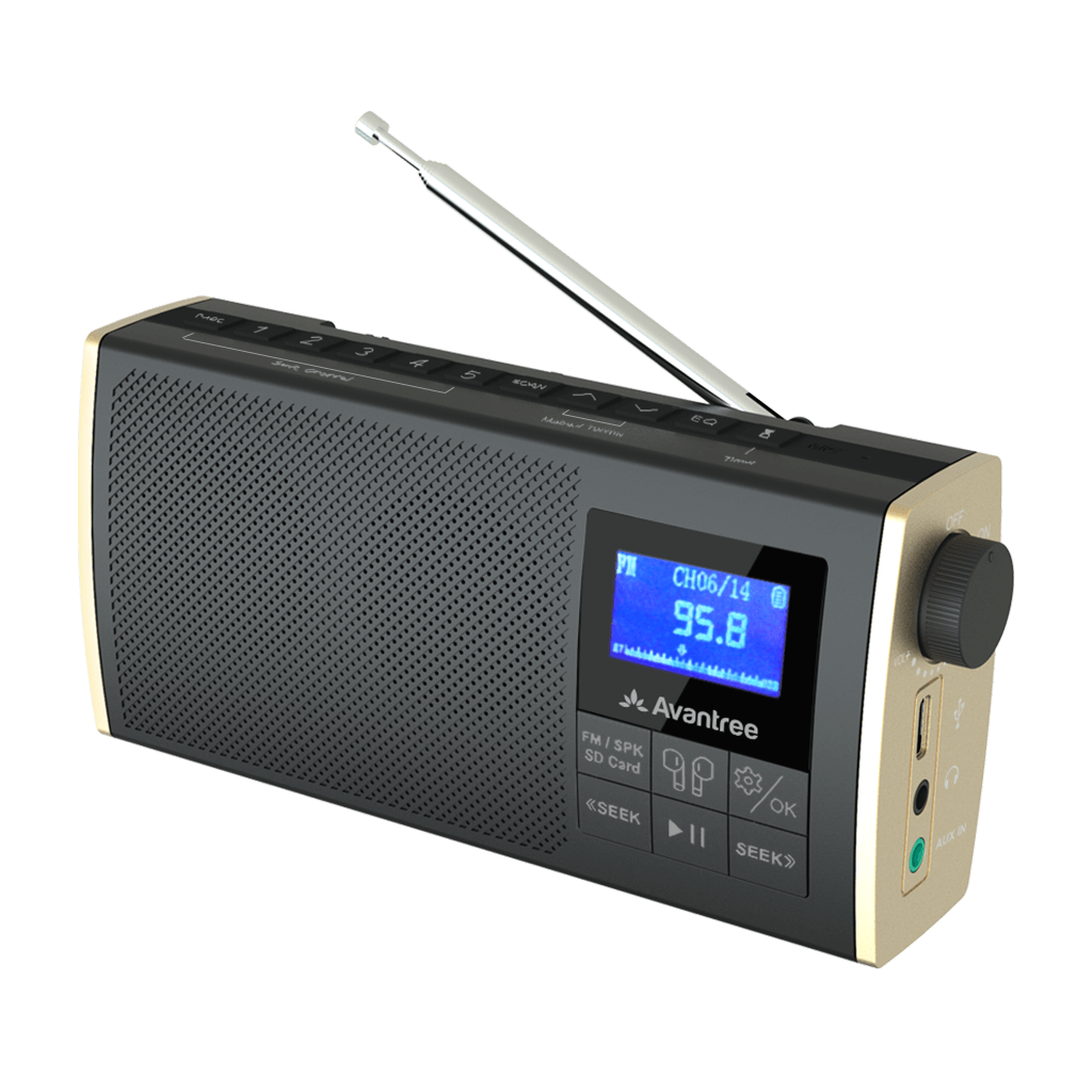 Avantree Boombyte - Portable FM Radio with Bluetooth Speaker, Dual Drivers  (14W), High Volume Stereo Sound, Micro SD Card Slot, and USB Port Audio  Input, 17 Hours Rechargeable MP3 Player 